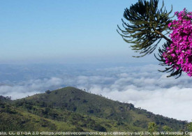 Imagem de Vale Histórico da Serra da Bocaina e a Areias de Monteiro Lobato - 1º de Maio - Grupo Freeway