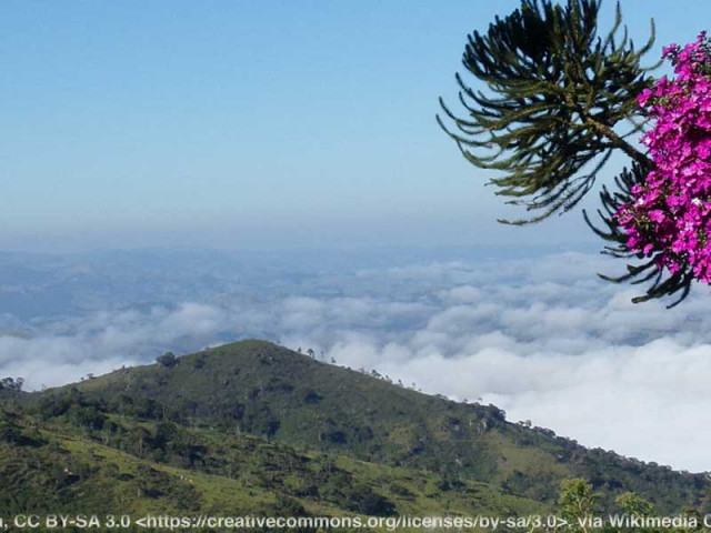 Imagem de Vale Histórico da Serra da Bocaina e a Areias de Monteiro Lobato - 1º de Maio - Grupo Freeway