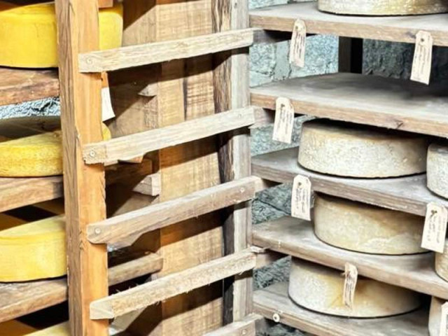 Imagem de Queijo, Vinho, Azeite e Lavanda - São Luiz do Paraitinga & Cunha - Saída em Grupo