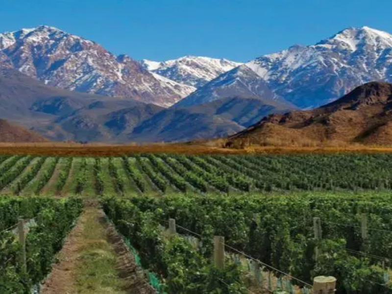 Argentina/Mendoza