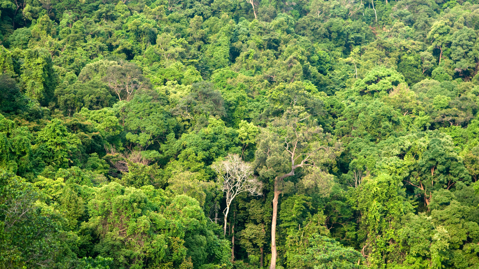 Escandinávia – Natureza Terra – Educação Ambiental e Ecoturismo