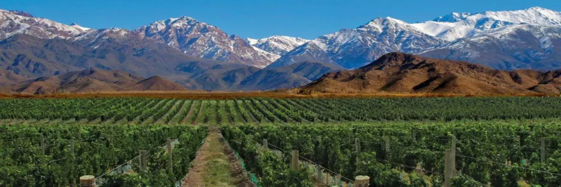 Excursão turística de meio dia à cidade de Mendoza, Mendoza